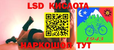 apvp Новодвинск
