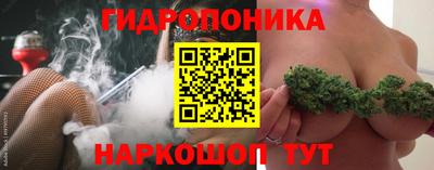 apvp Новодвинск